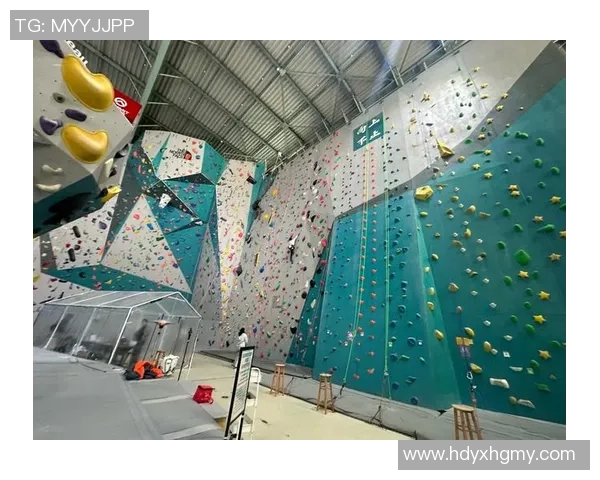 上海攀岩队创历史新高力量排名跃居全国前列